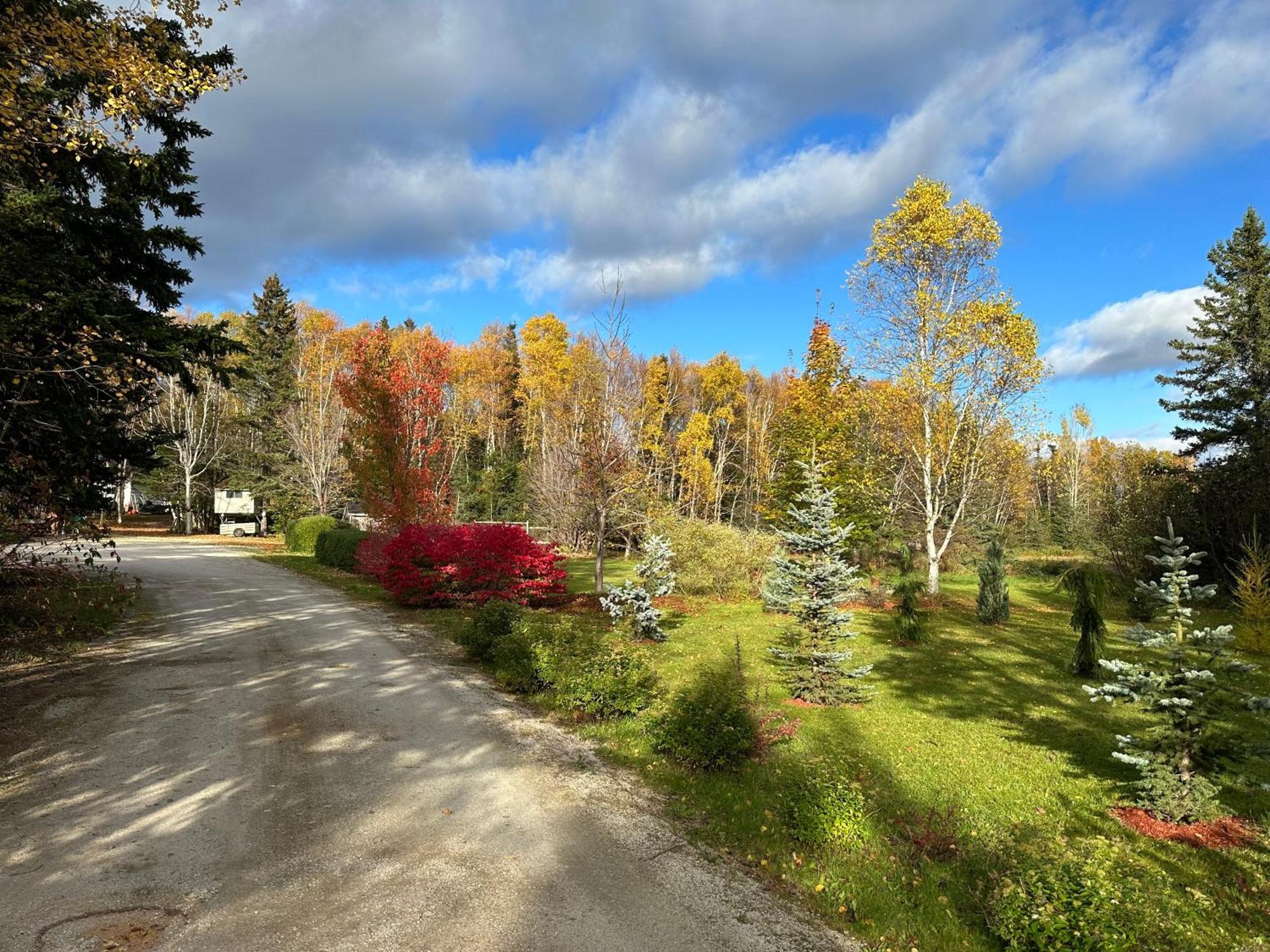 Eden Estate B&B Reidville Bagian luar foto